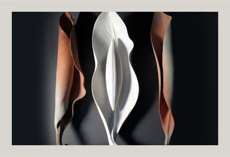 لابیاپلاستی